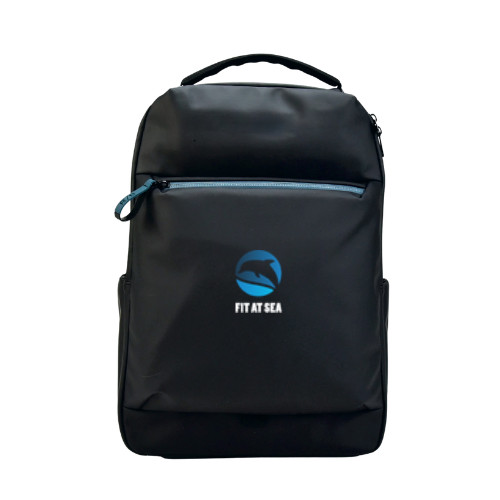 BACKPACK/LAPTOP BAG